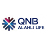 QNB ALAHLI Life Egypt Jobs Expertini